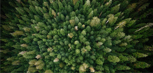 Our New Year's Resolution: 1% For The Planet - Rumpl Canada