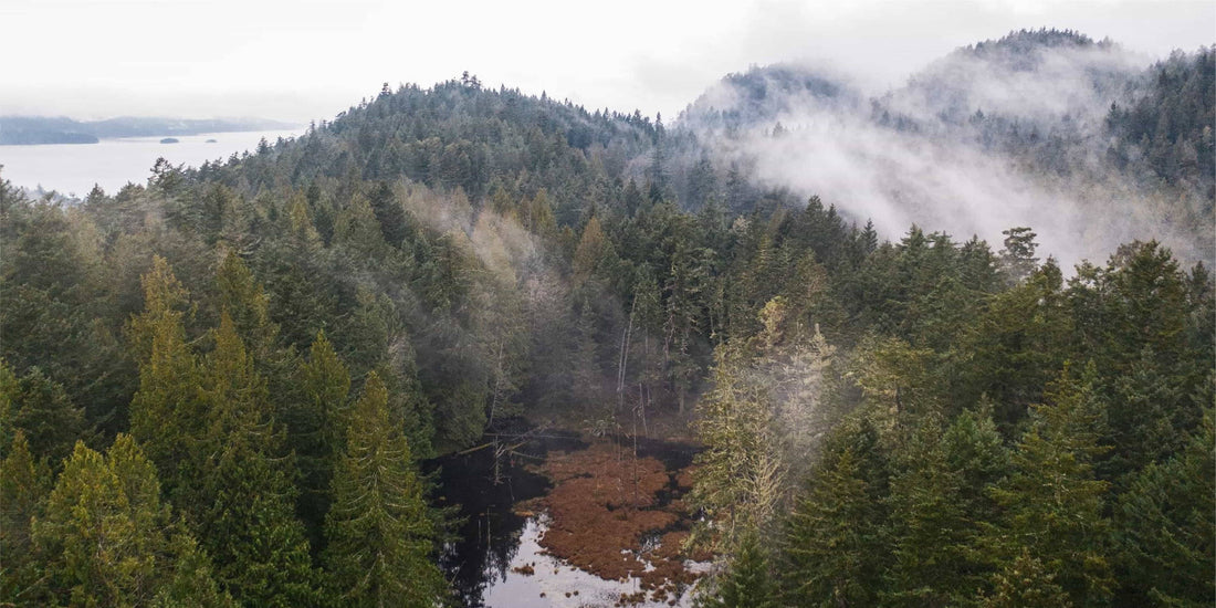 Raincoast Conservation Foundation