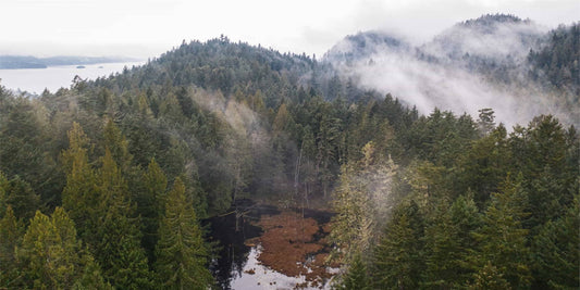 Raincoast Conservation Foundation